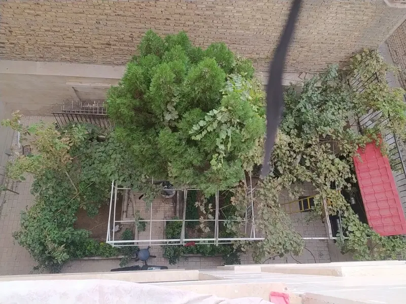فروش باغ  حسین اباد