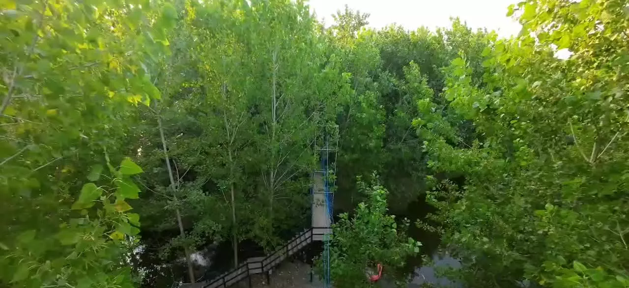 فرصت سرمایه گذاری متفاوت برای آینده