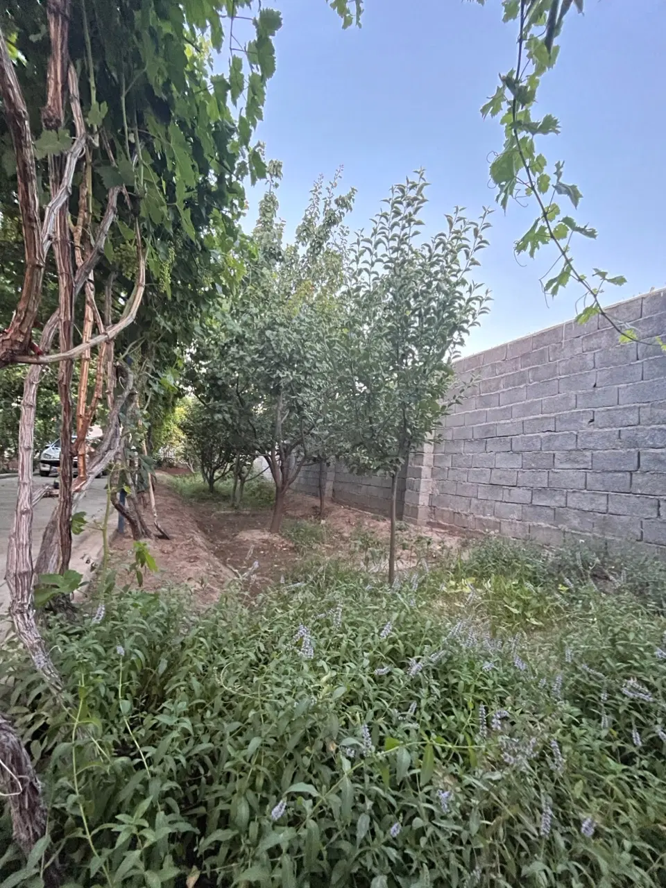 باغ ویلایی در مرند