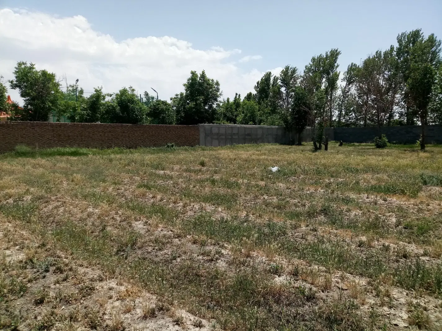 2400 مترمربع زمین باغچه ای دنج و امن