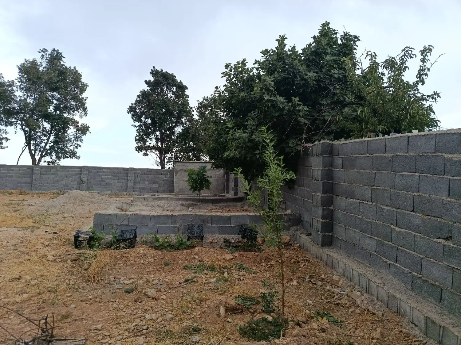 ۸۰۰مترزمین گنجه ای کهنه