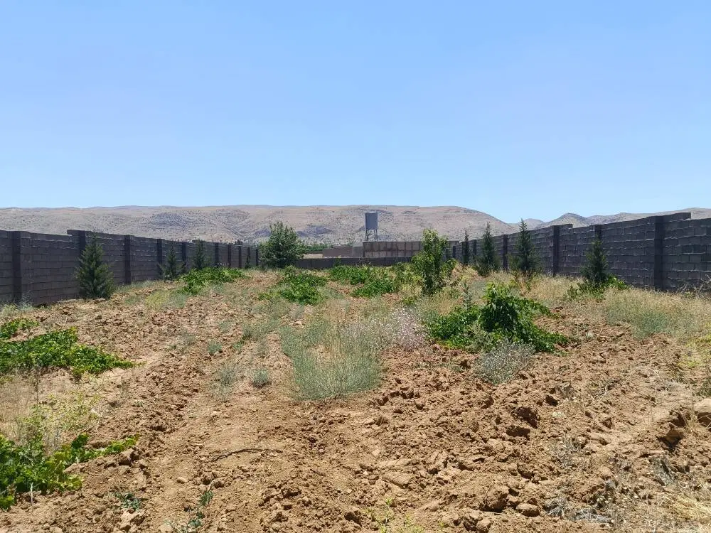 فروش یا معاوضه زمین کلستان