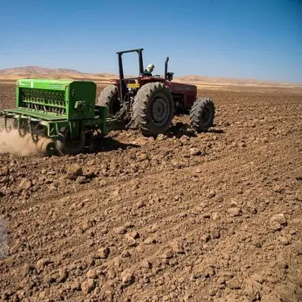 زمین مزروعی گلخانه ای