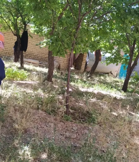 زمین