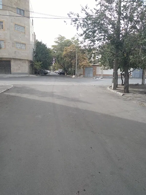 همخونه موجه