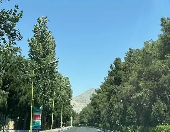 فروش زمین باغ شهری با آب و برق مورسوسنی