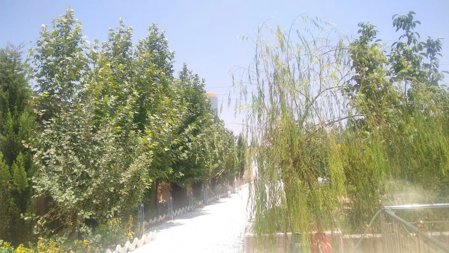 اجاره باغ ویلا مبله سوییت ورودی شیراز
