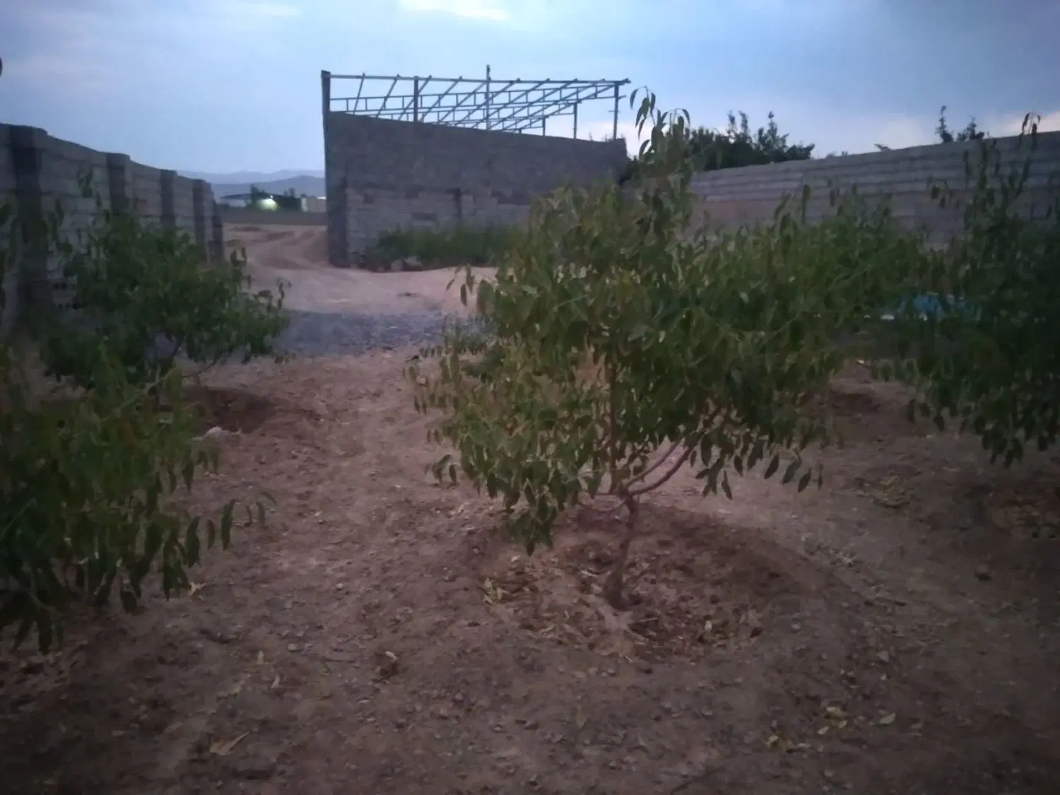 فروش باغ