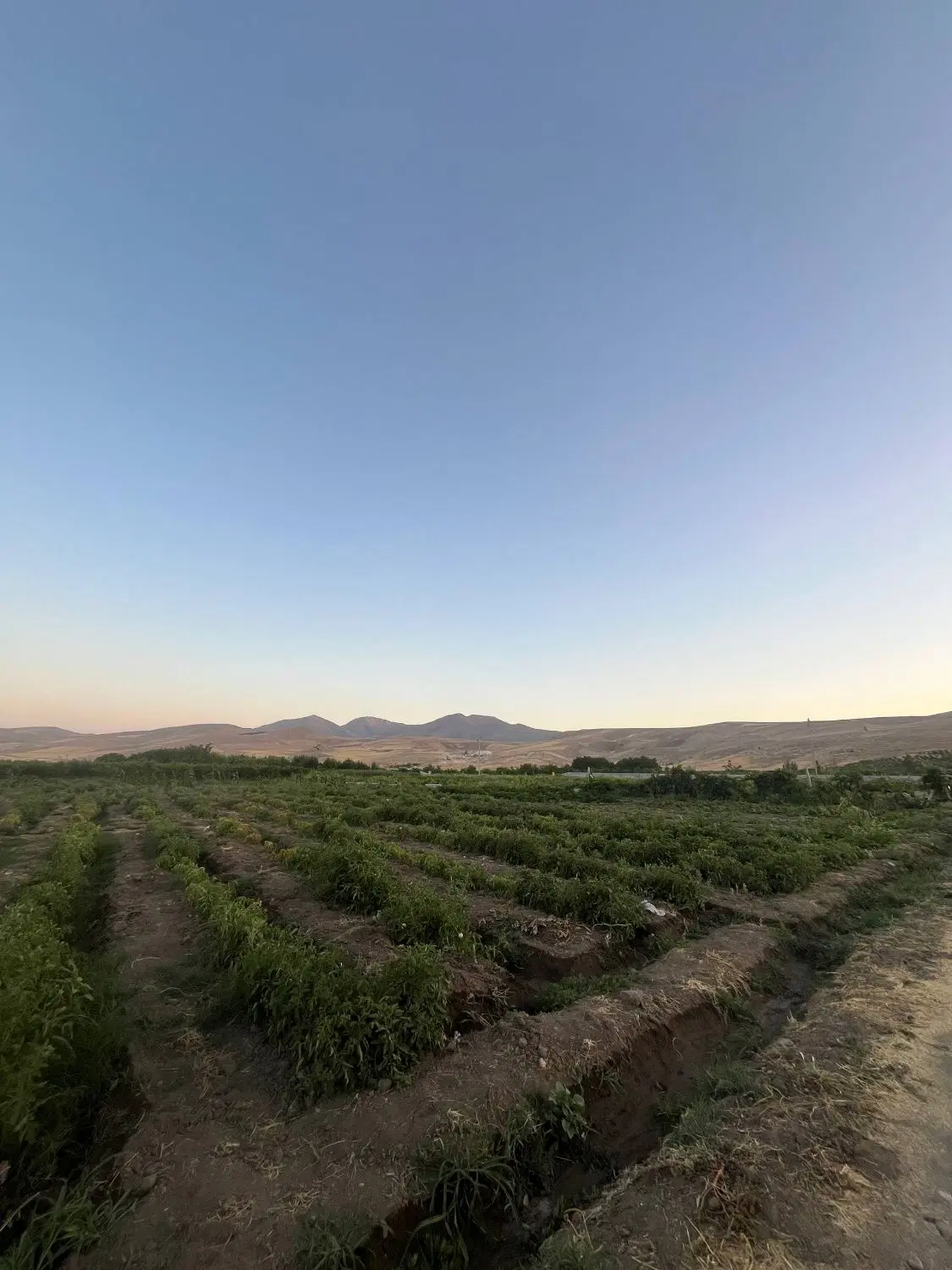 فروش زمین 1500 متری