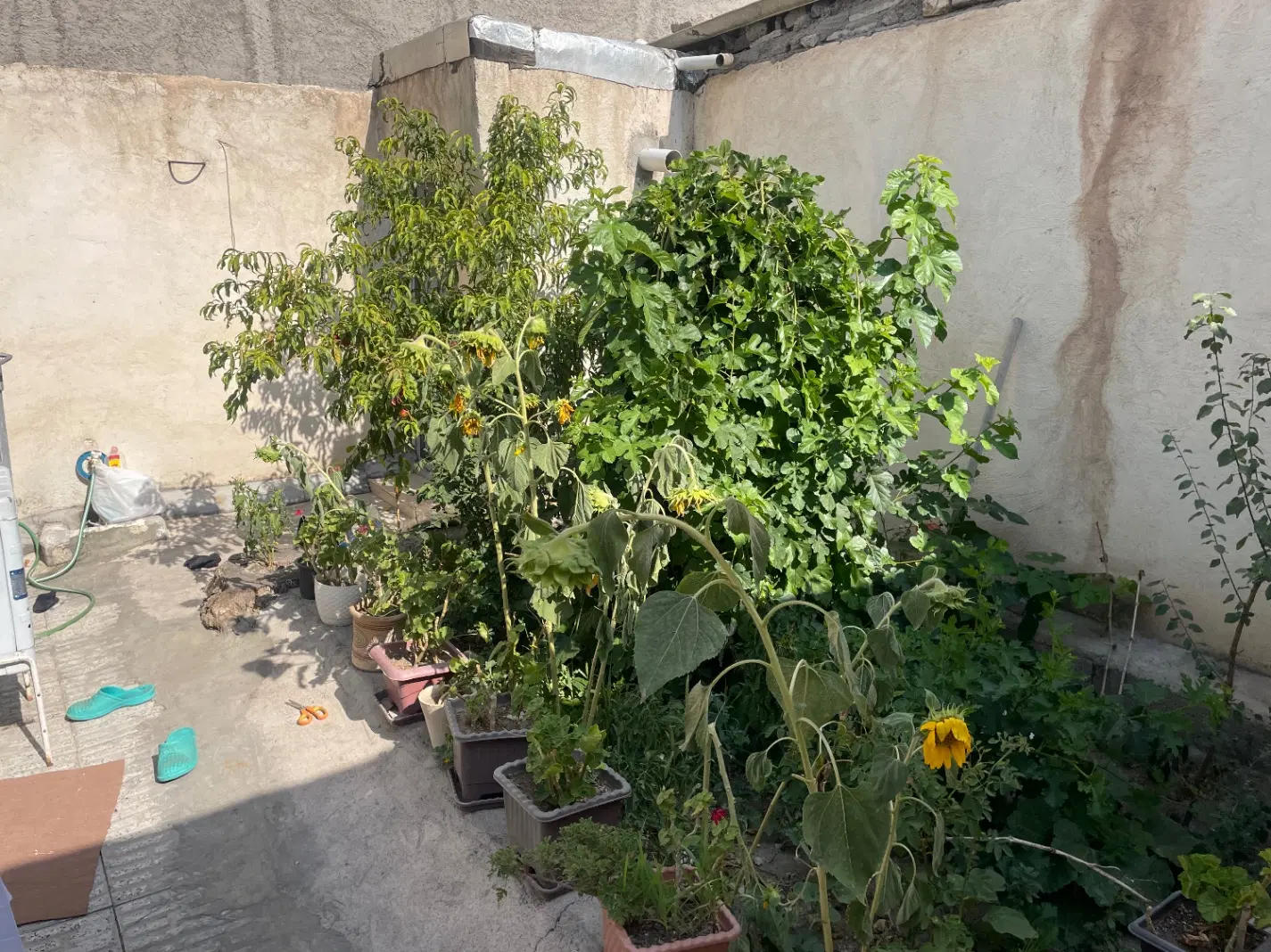 خانه ویلایی