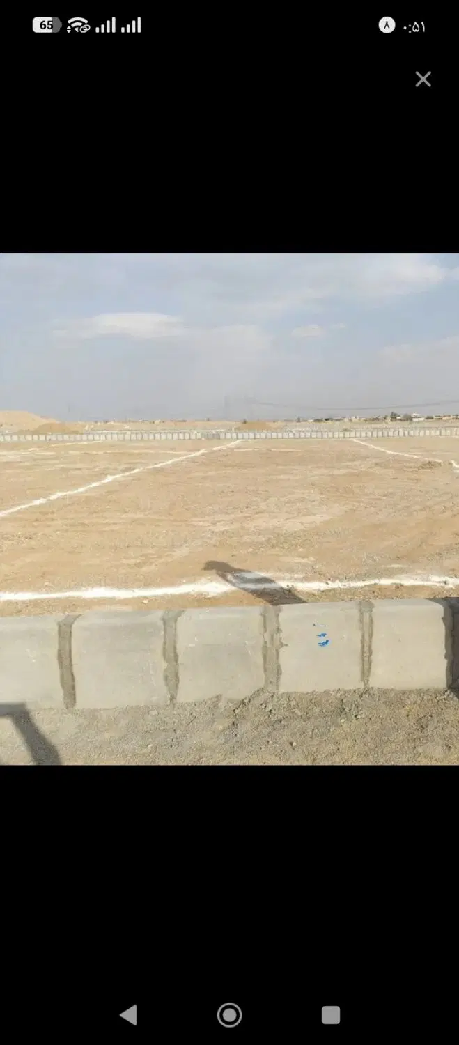 زمین جوانی جمعیت کاریزلند