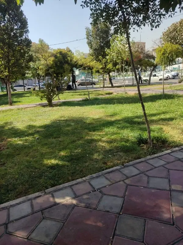 هم خونه میشم ،خونه ندارم
