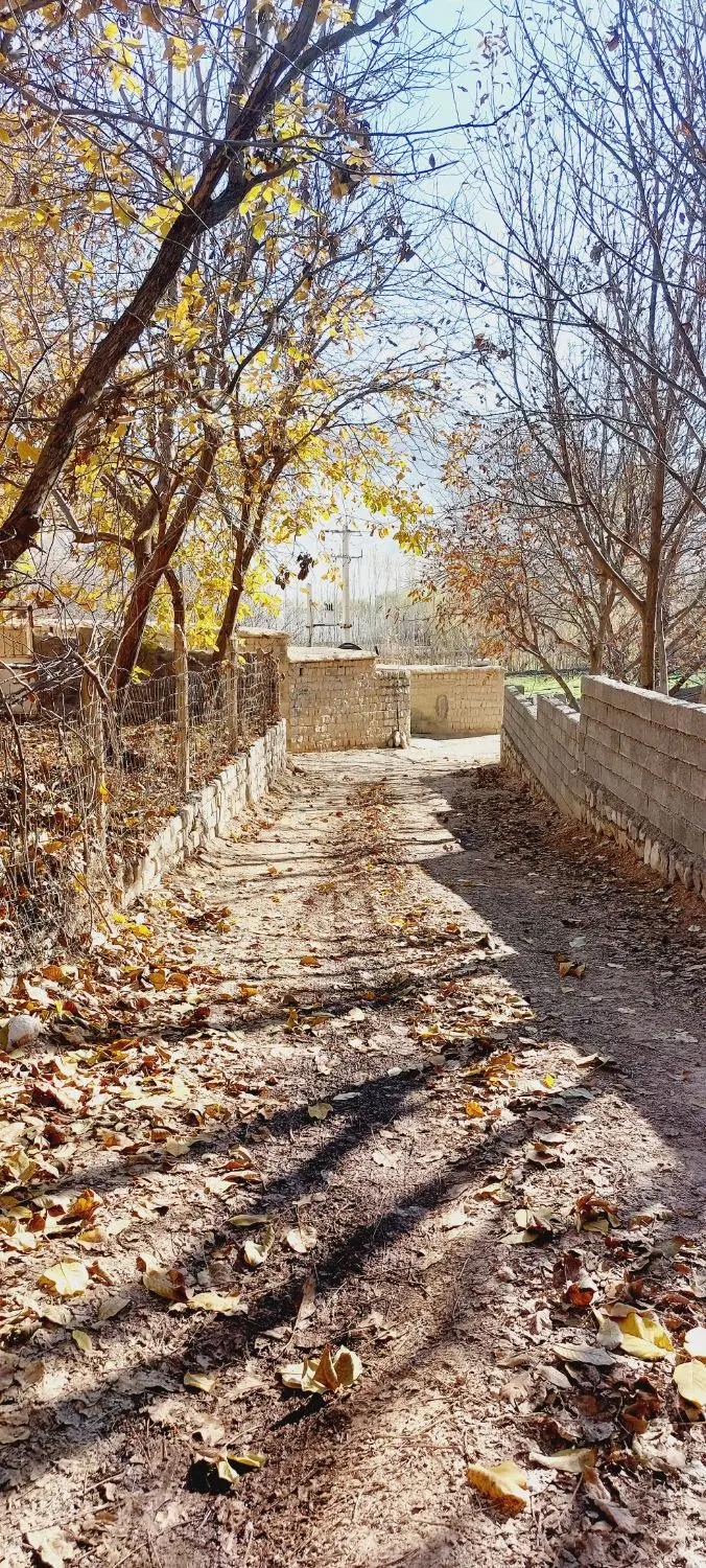 خانه باغ گردو