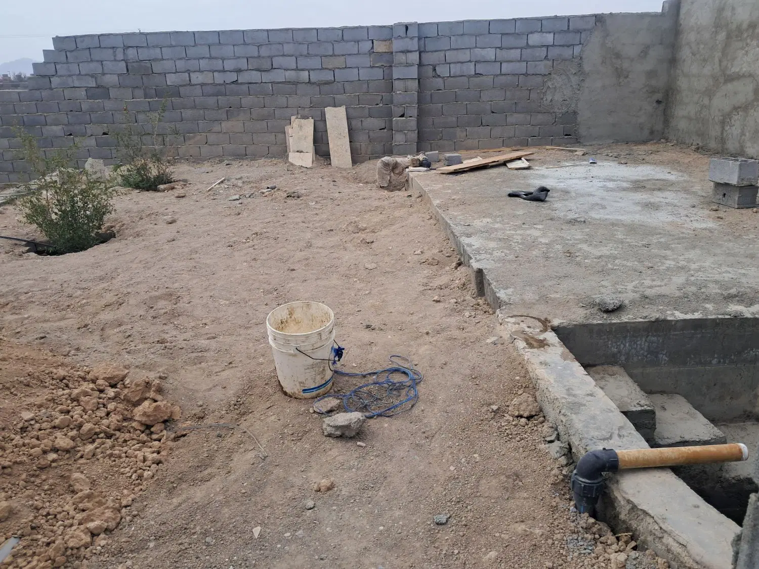 باغ بر جاده اصلی