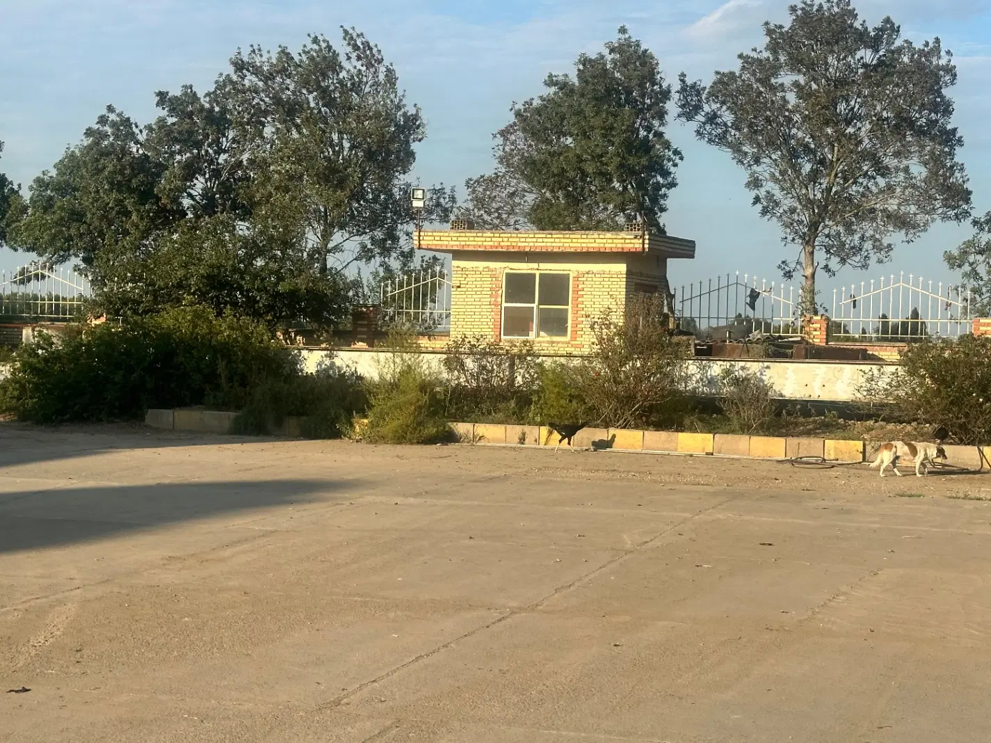 فروش کارخانه رب تولید
