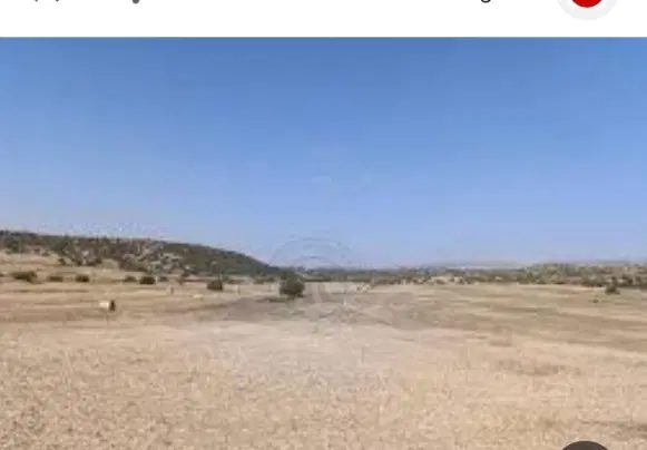 زمین