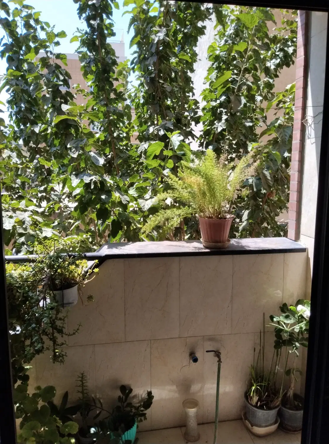 آپارتمان ۱۳۲ متر_ تک واحدی * حمزه جنوبی