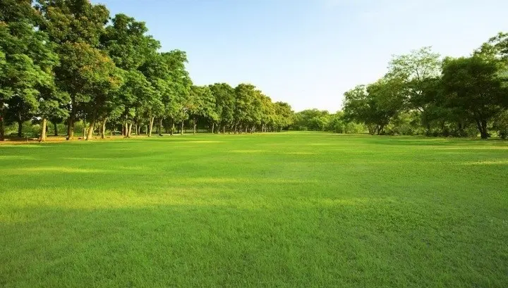 زمین مسکونی وکشاورزی