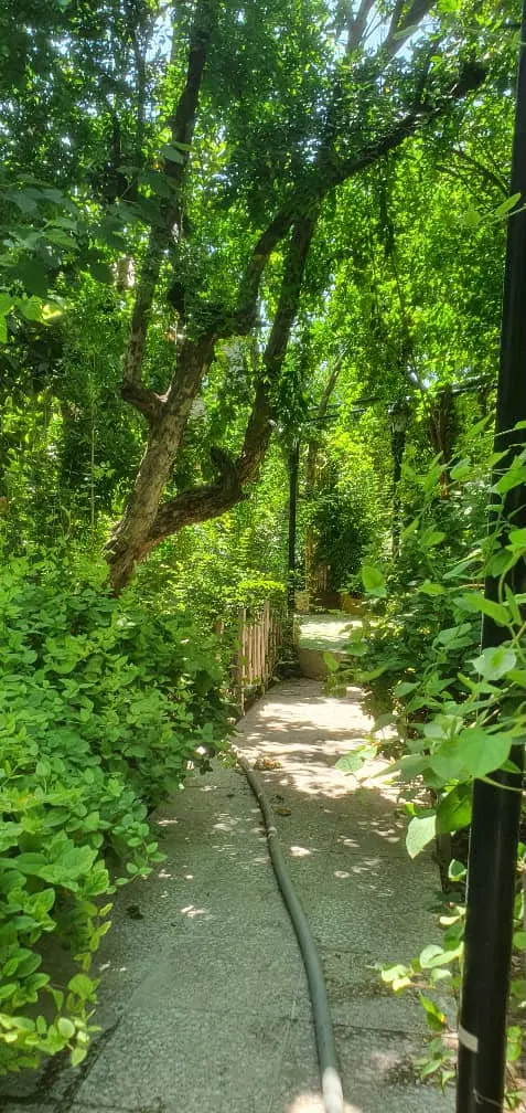 ویلایی  درب از حیاط