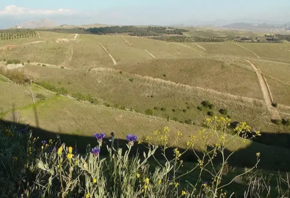 ۱۶۰ متر زمین در سوهانک شمیران