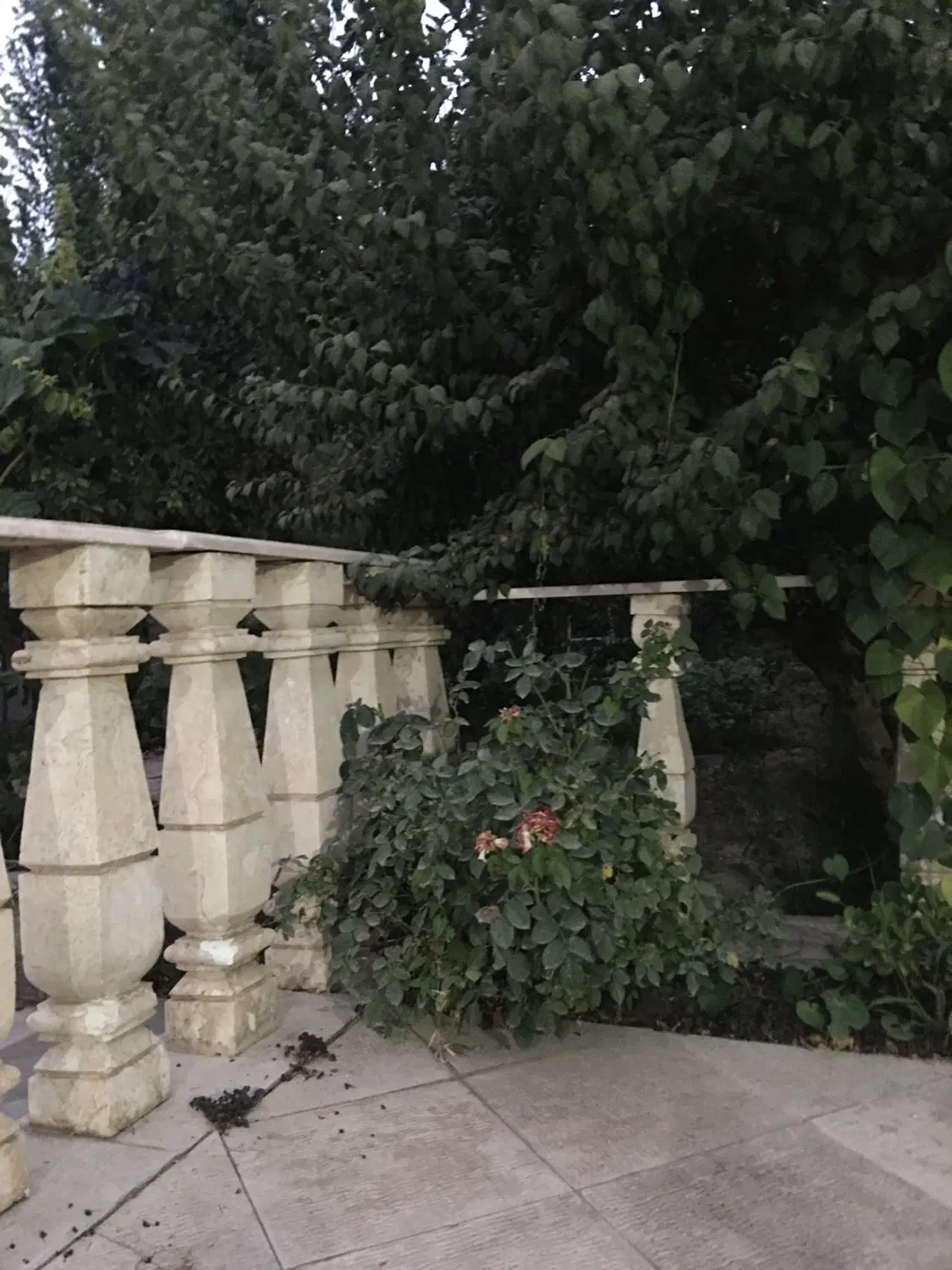 ۶۶ متر کلنگی