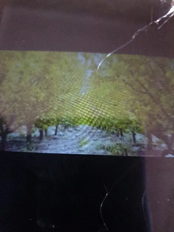 فروش باغ