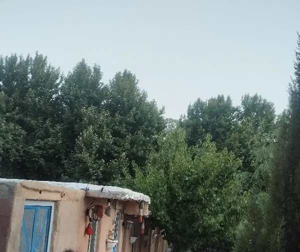 سوییت اجاره ای