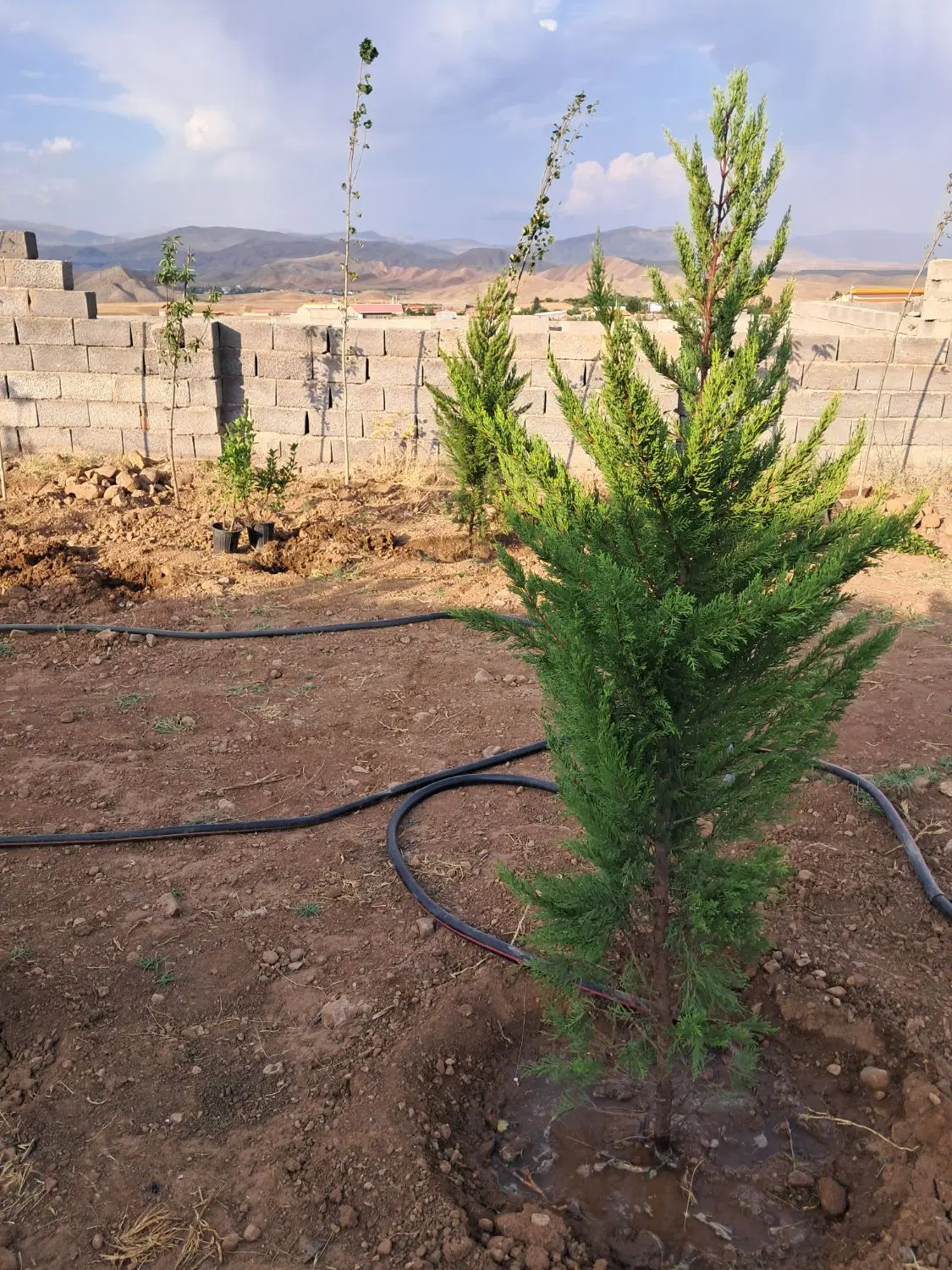 باغ ویلایی در روستای زین آباد