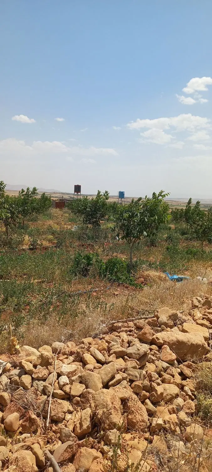 زمین ۱۰۰۰ متری اب پرده با آب