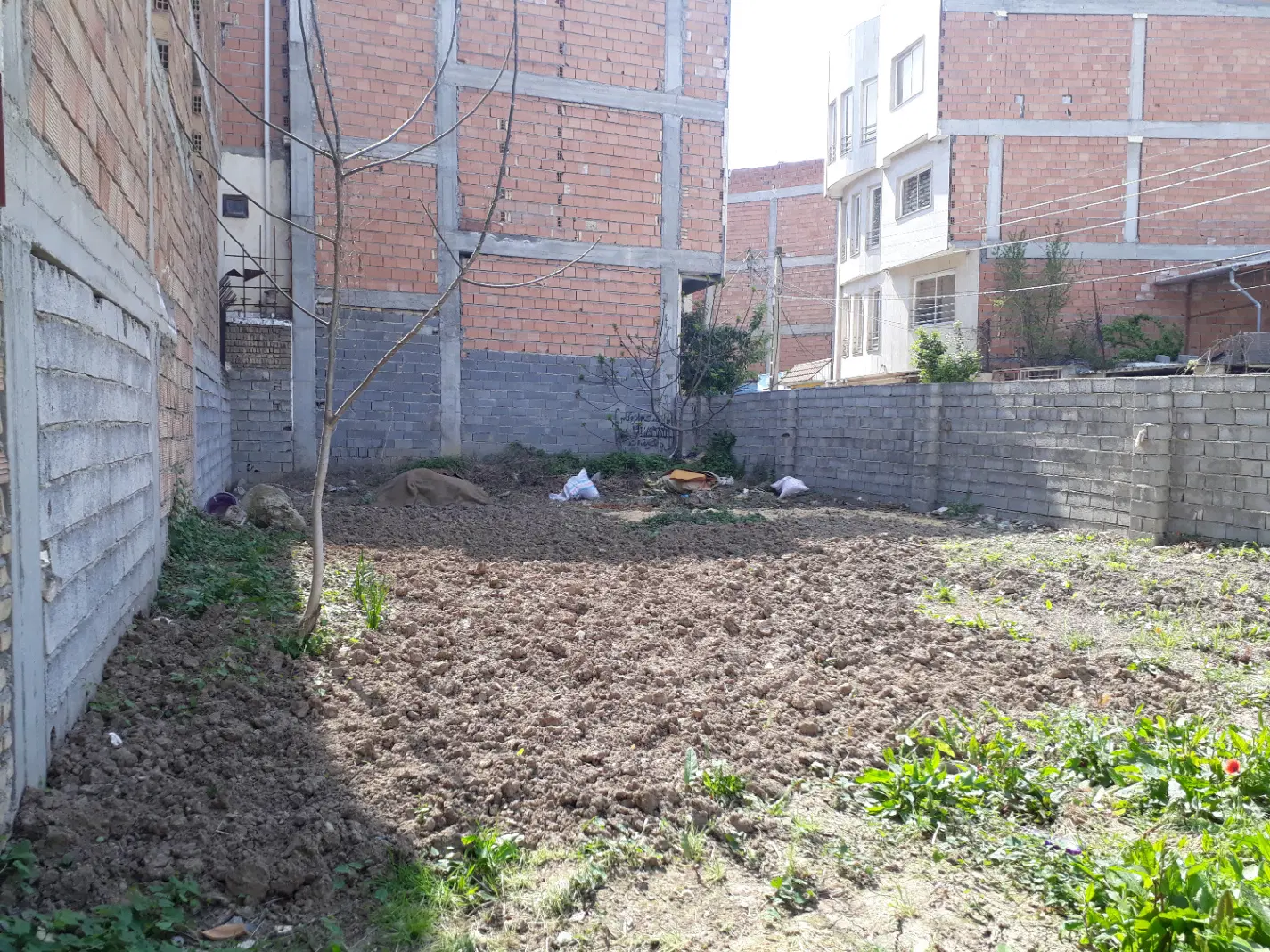 فروش زمین مسکونی ۲۵۰ متری در محدوده طبیعت ساری