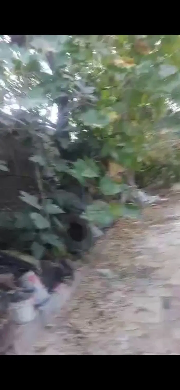 باغ 1000 متری شهرک انجیره