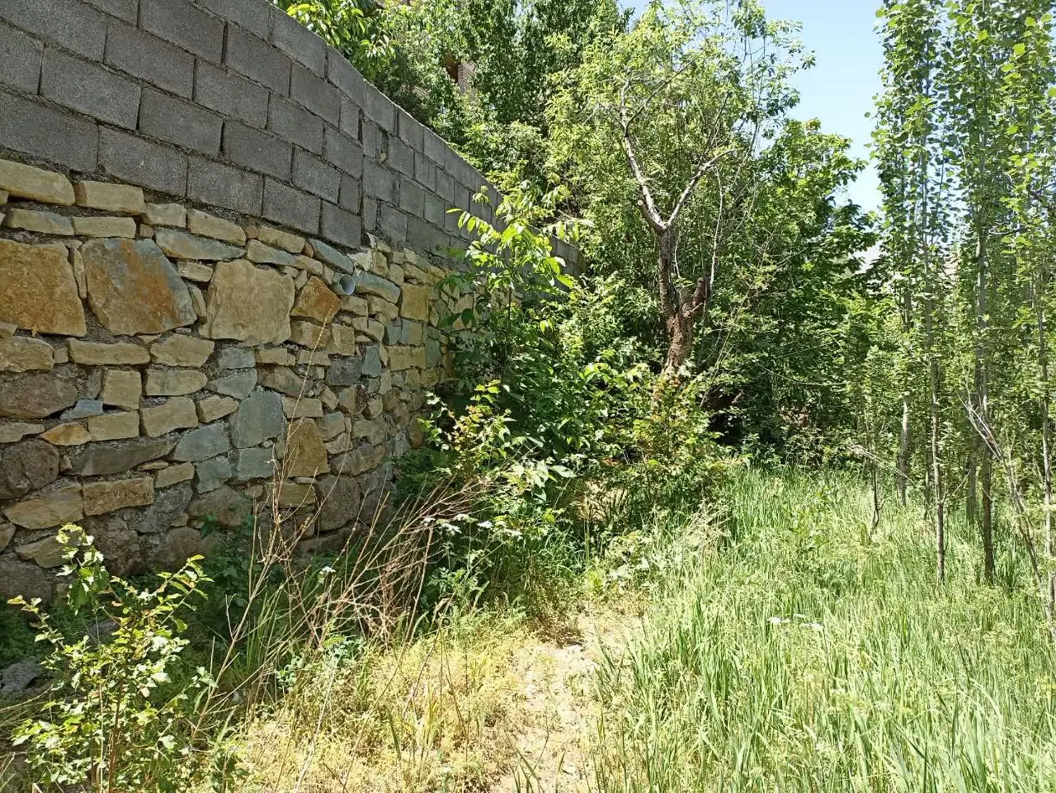 باغ سیلوار کمی بالاتر از روستا