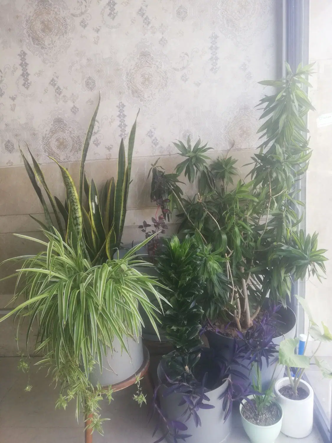 68متر ۲خواب با پارکینگ سوم رویتی
