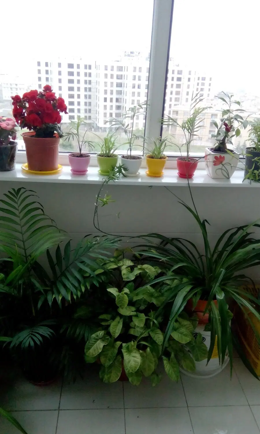 اجاره اتاق در واحد ۱۱۰ متری