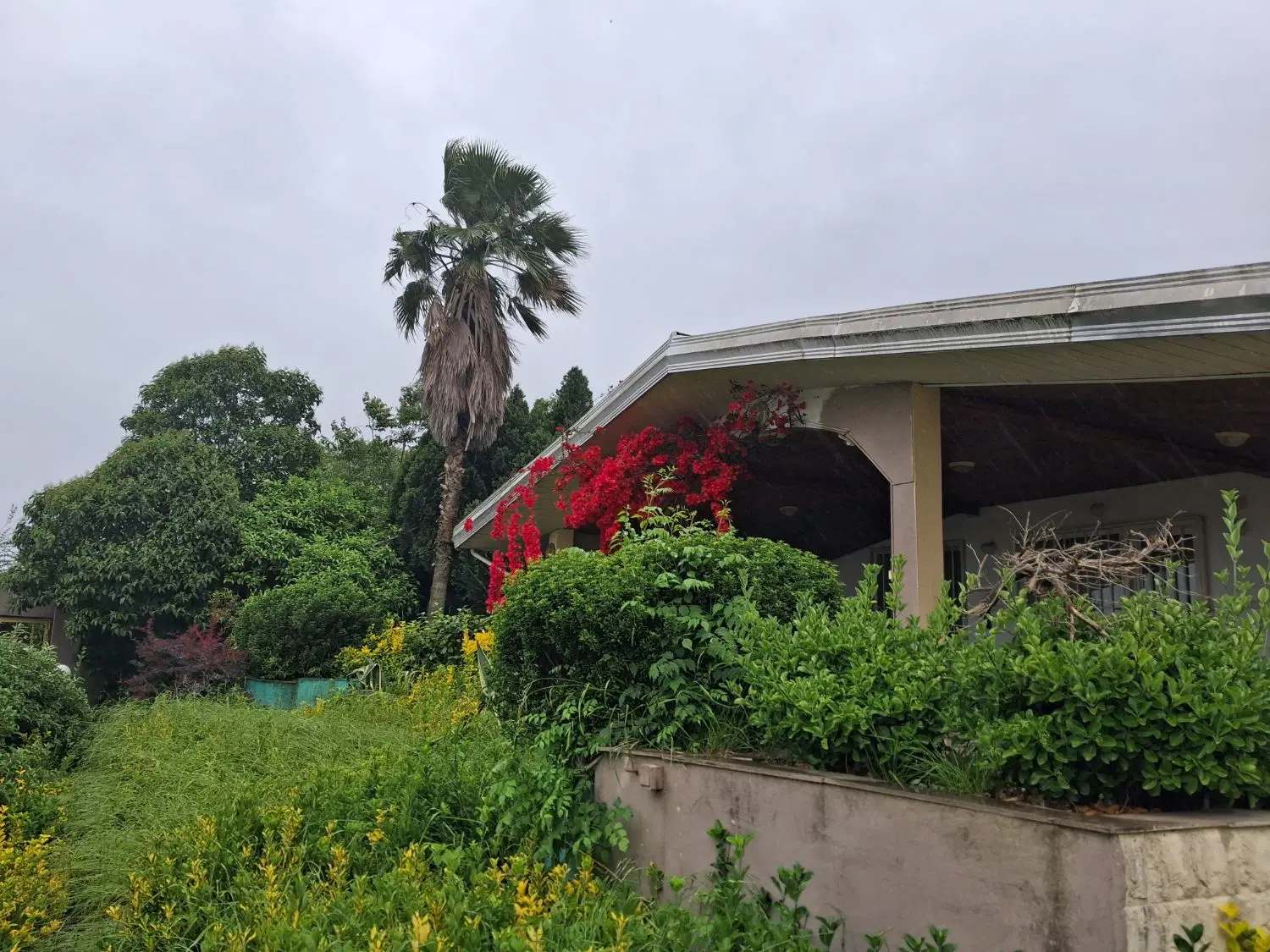 رهن و اجاره واحد مسکونی