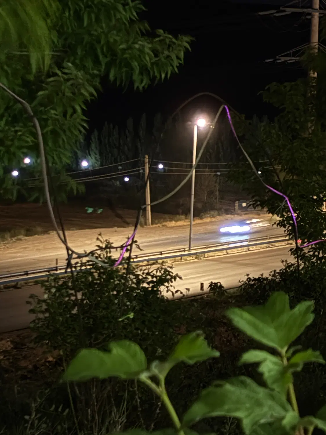 اجاره خانه برای مسافرین