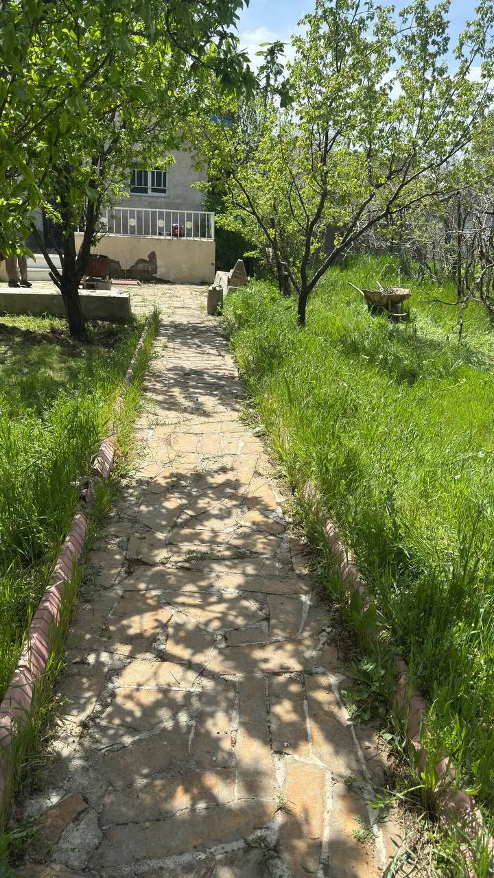 فروش قطعه باغ باغچه فوق العاده