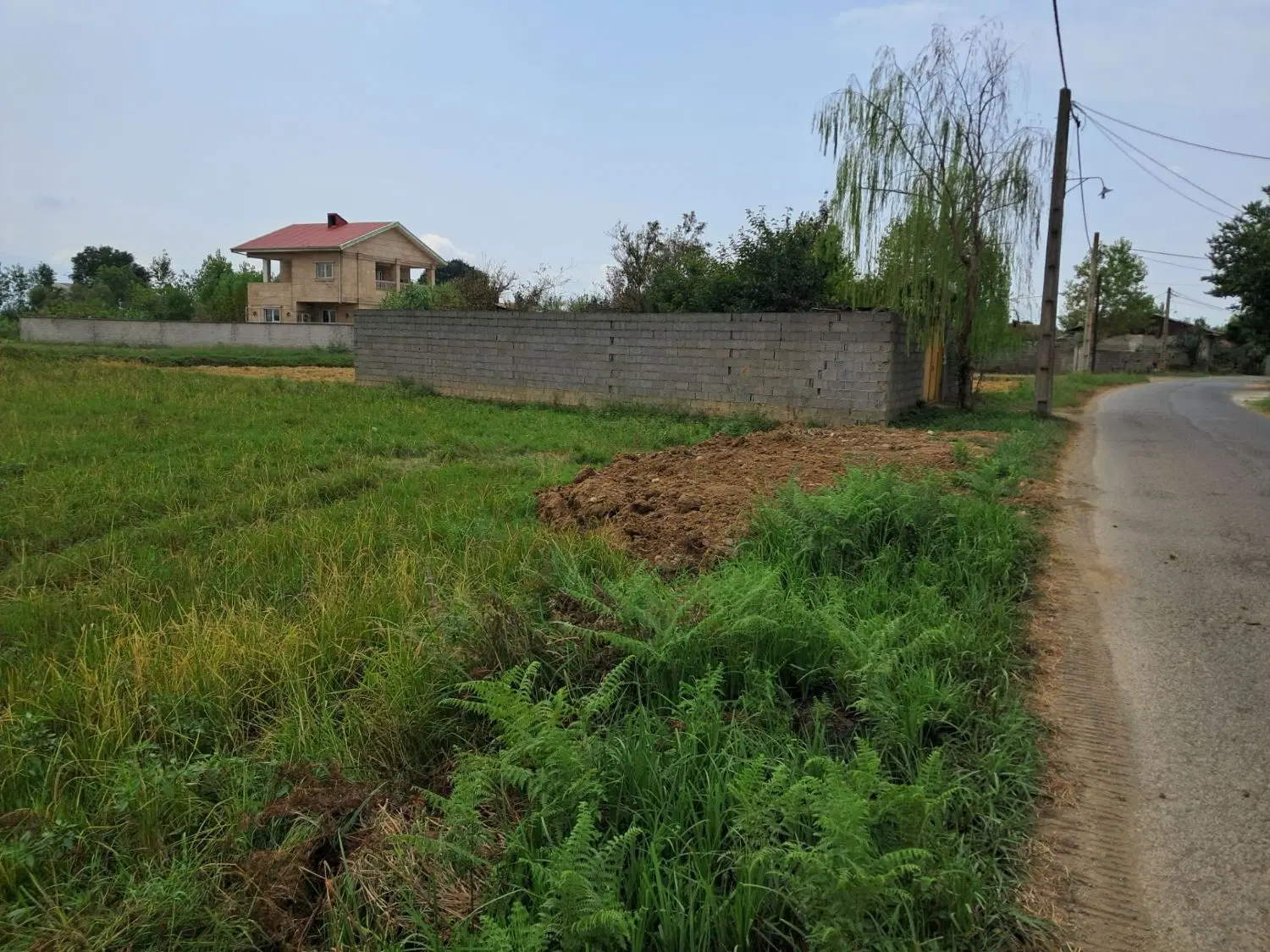 زمین کشاورزی