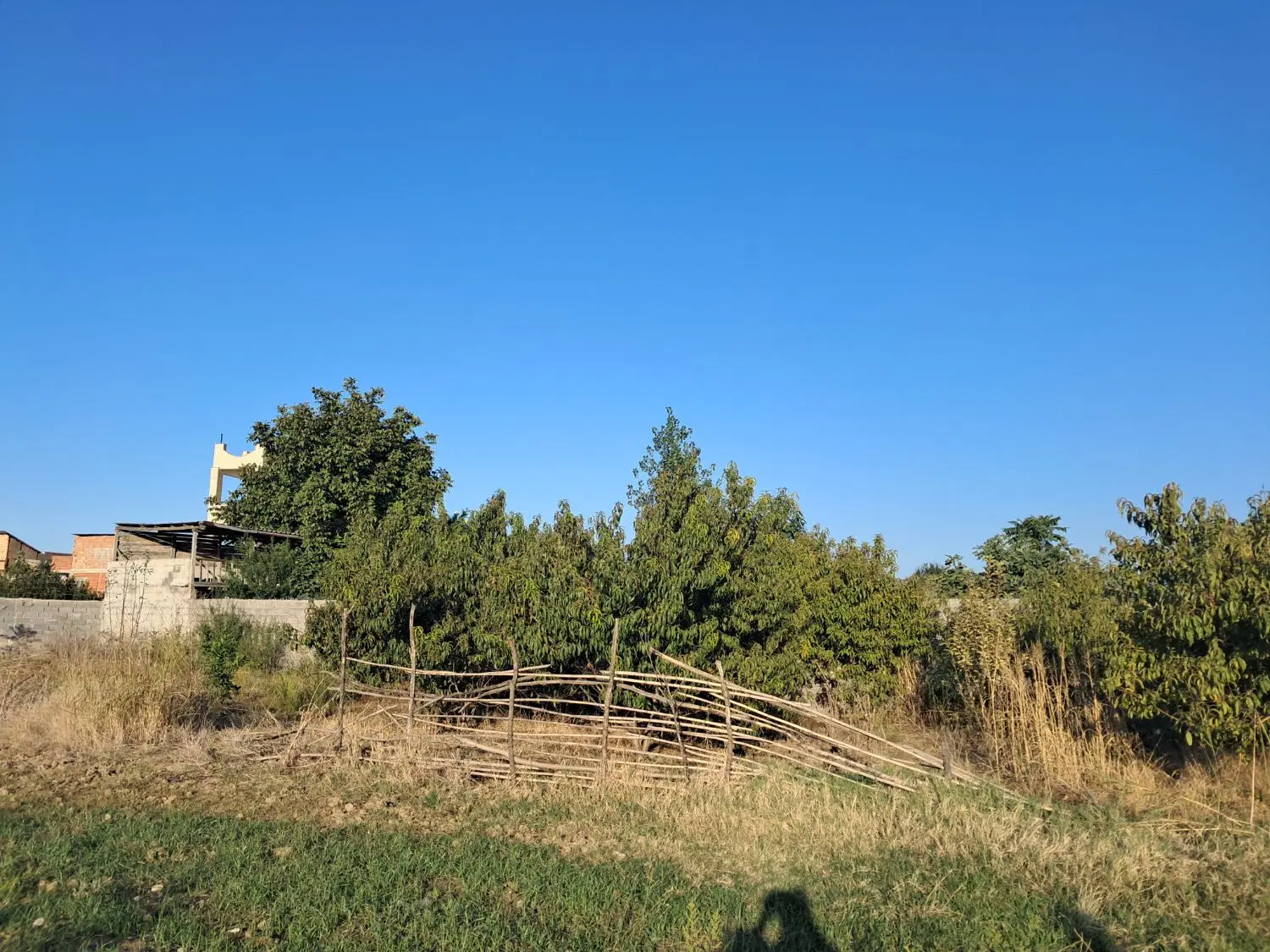 زمین مسکونی باغی