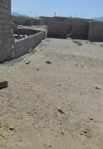 زمین کالیکه  250  متر  نزدیک خیابان اصلی