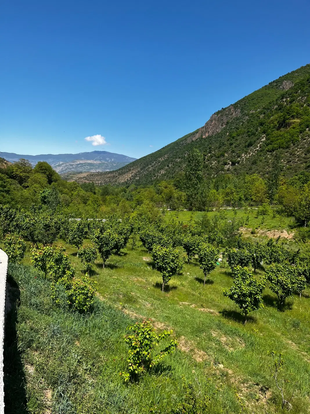 فروش زمین نوشهر کجور