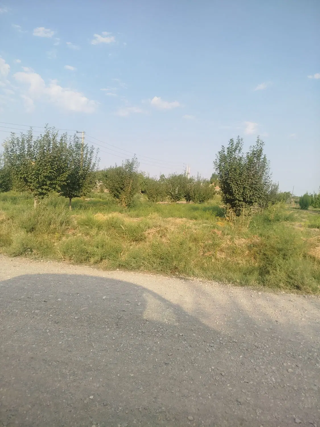 فروش باغ
