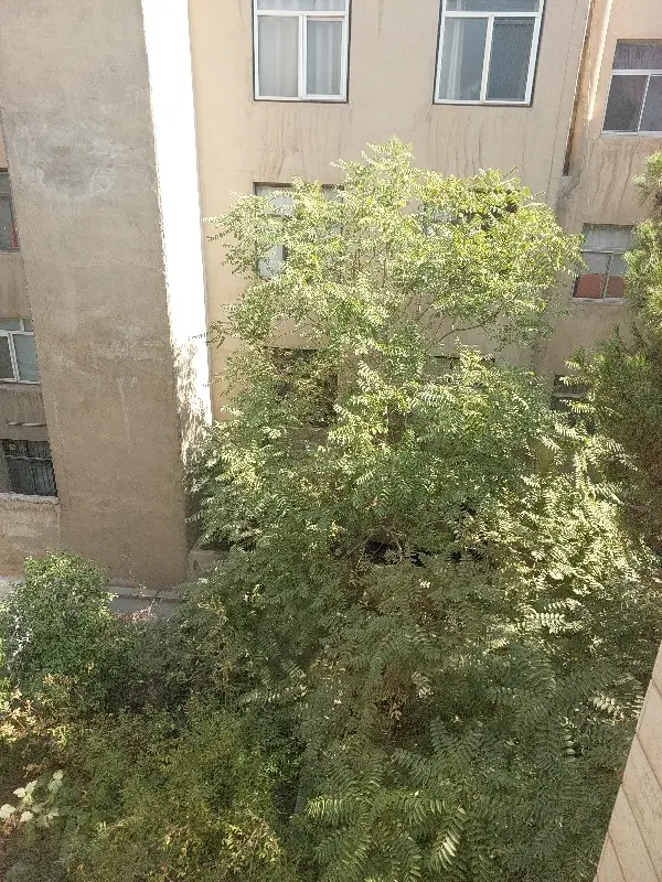 فروش خانه ویلایی  دوطبقه جای دنج دسترسی عالی