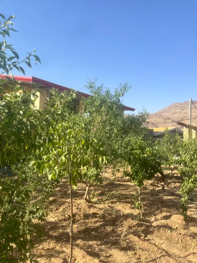 باغ ۲۲۰متری سانیج