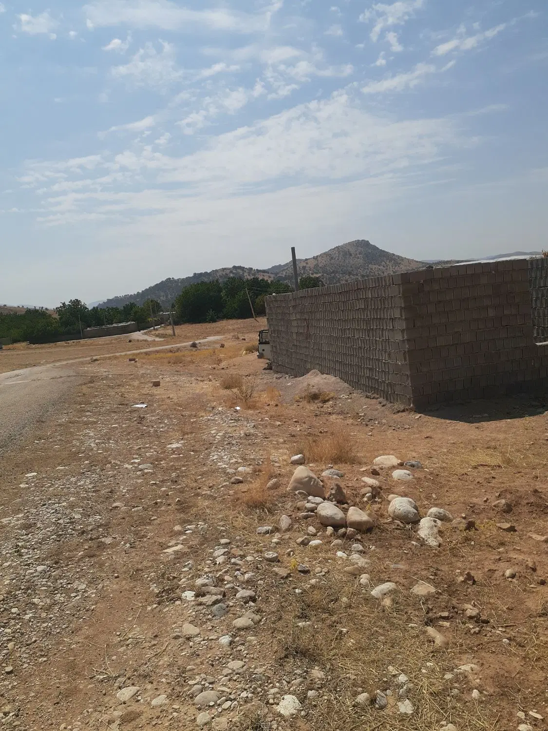 دلی الادعلی مومن