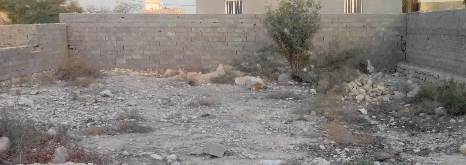 زمین