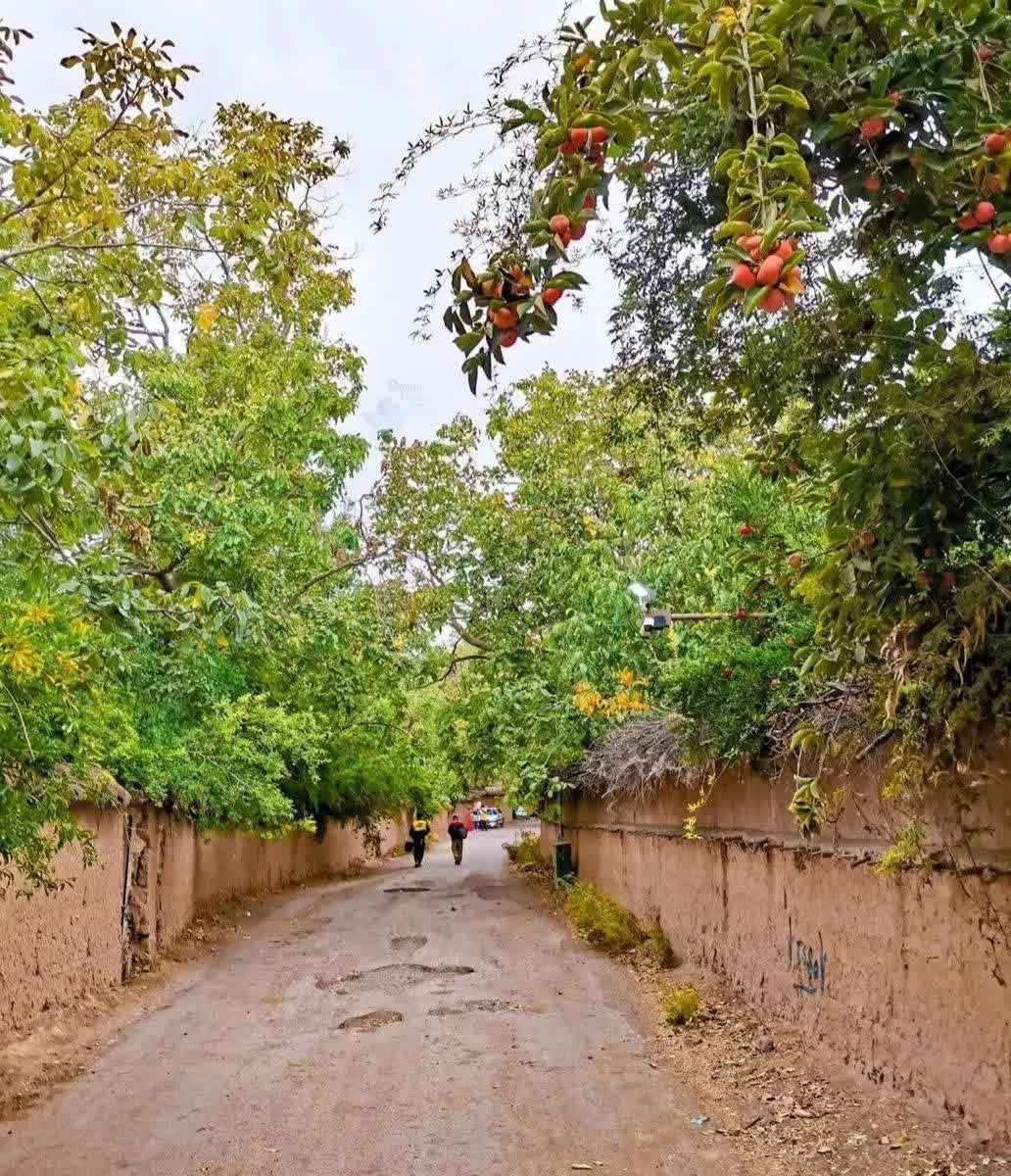 زمین فروشی سعید آباد