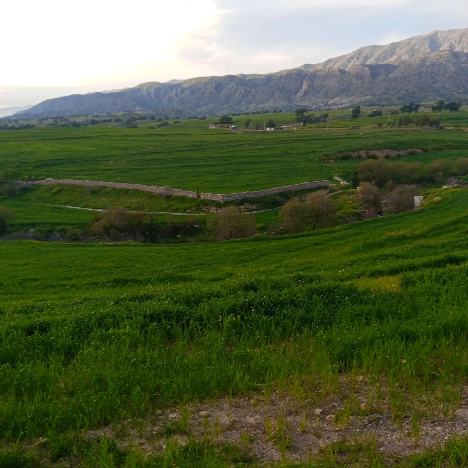 باغ در محدوده فرهنگ شهر