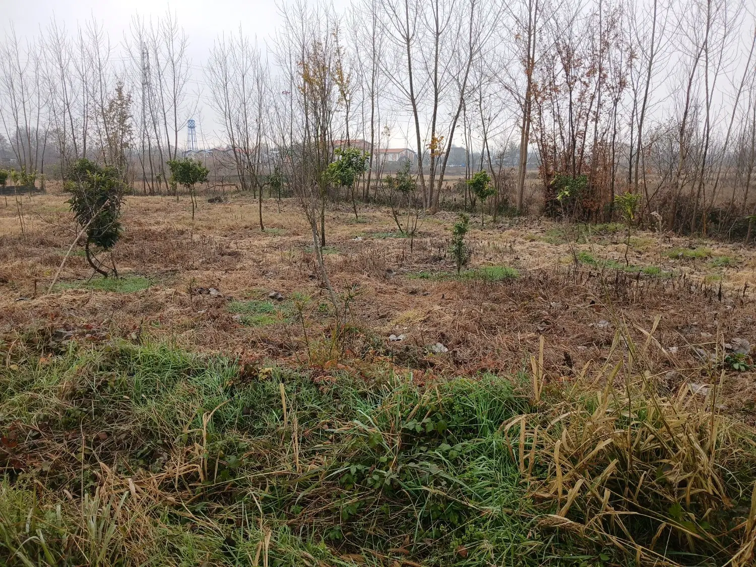 قطعه زمین سرمایه گذاری