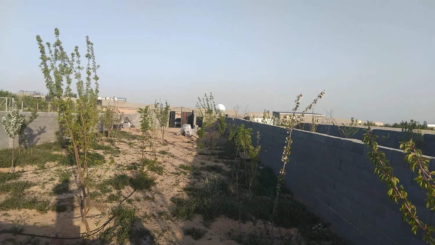 باغ ۵۵۰متری با کاربری باغی پ